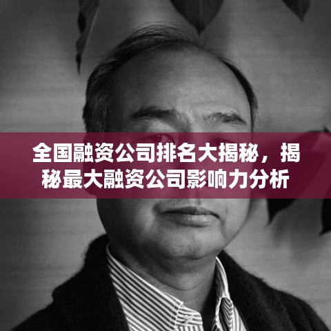 全國融資公司排名大揭秘，揭秘最大融資公司影響力分析