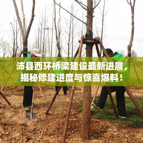 沛縣西環(huán)橋梁建設(shè)最新進展，揭秘修建進度與驚喜爆料！