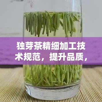 獨芽茶精細(xì)加工技術(shù)規(guī)范，提升品質(zhì)，百度收錄必備指南
