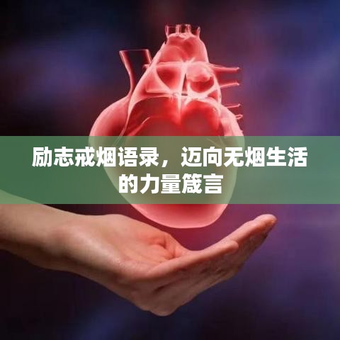 勵(lì)志戒煙語(yǔ)錄，邁向無(wú)煙生活的力量箴言