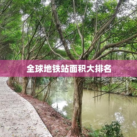 張燈結彩 第2頁
