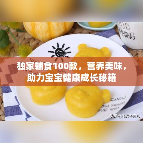 獨(dú)家輔食100款，營(yíng)養(yǎng)美味，助力寶寶健康成長(zhǎng)秘籍