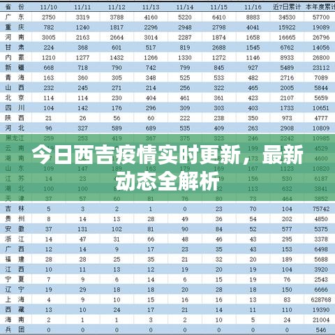 今日西吉疫情實時更新，最新動態(tài)全解析