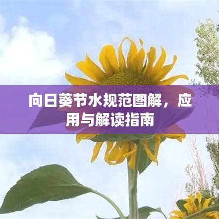 向日葵節(jié)水規(guī)范圖解，應(yīng)用與解讀指南