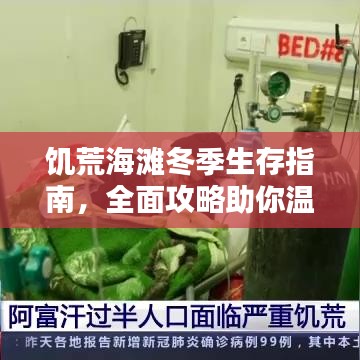 饑荒海灘冬季生存指南，全面攻略助你溫暖過冬