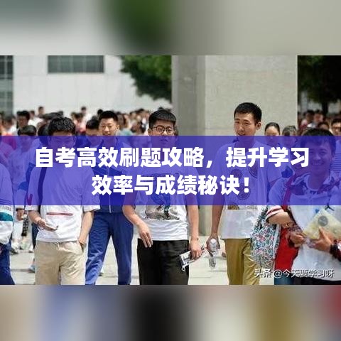 自考高效刷題攻略，提升學習效率與成績秘訣！