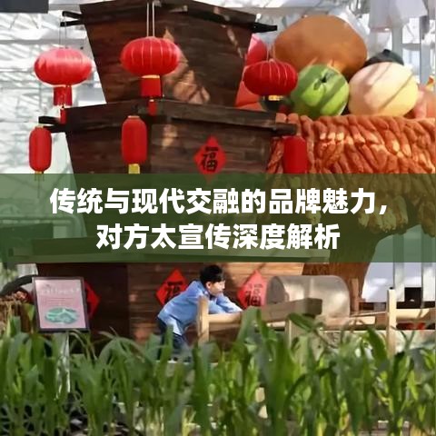 傳統(tǒng)與現(xiàn)代交融的品牌魅力，對(duì)方太宣傳深度解析