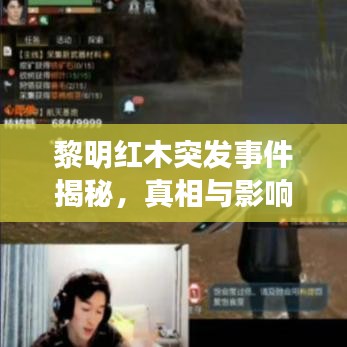 黎明紅木突發(fā)事件揭秘，真相與影響探究