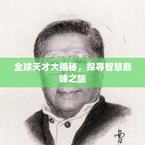 全球天才大揭秘，探尋智慧巔峰之旅