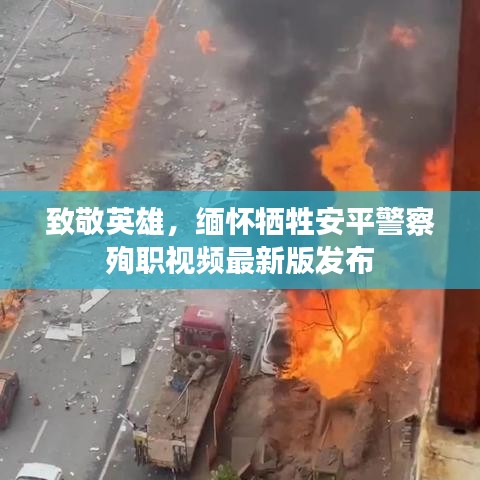 真獨(dú)簡(jiǎn)貴 第2頁