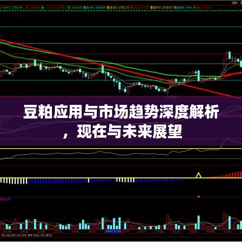 豆粕應(yīng)用與市場趨勢深度解析，現(xiàn)在與未來展望