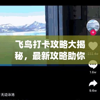 飛鳥打卡攻略大揭秘，最新攻略助你暢游天際！