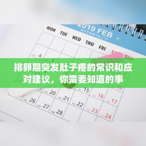 排卵期突發(fā)肚子疼的常識和應(yīng)對建議，你需要知道的事