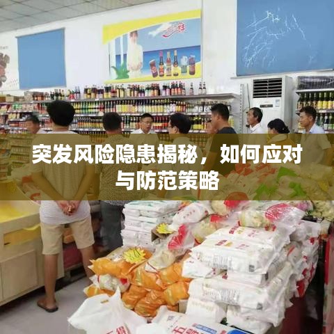 突發(fā)風險隱患揭秘，如何應對與防范策略