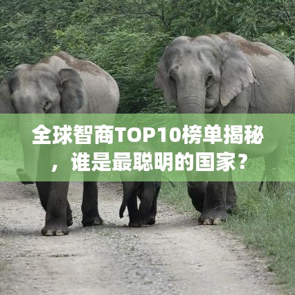 全球智商TOP10榜單揭秘，誰是最聰明的國家？