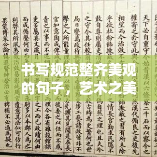 書寫規(guī)范整齊美觀的句子，藝術(shù)之美的文字打造