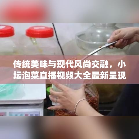 傳統(tǒng)美味與現(xiàn)代風(fēng)尚交融，小壇泡菜直播視頻大全最新呈現(xiàn)