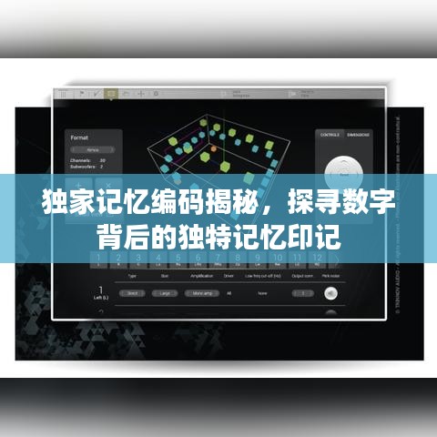 獨家記憶編碼揭秘，探尋數(shù)字背后的獨特記憶印記