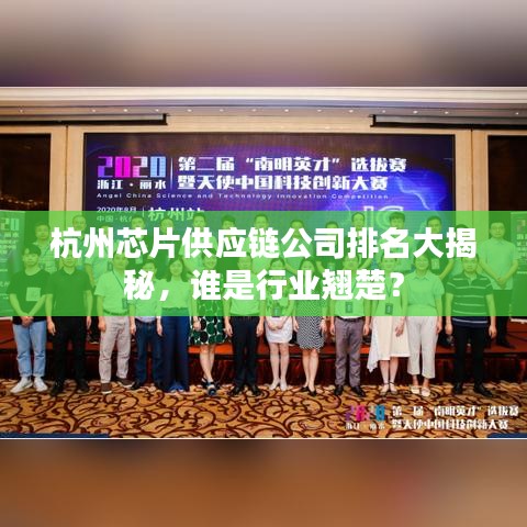 杭州芯片供應(yīng)鏈公司排名大揭秘，誰(shuí)是行業(yè)翹楚？