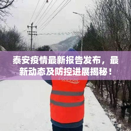 泰安疫情最新報告發(fā)布，最新動態(tài)及防控進(jìn)展揭秘！