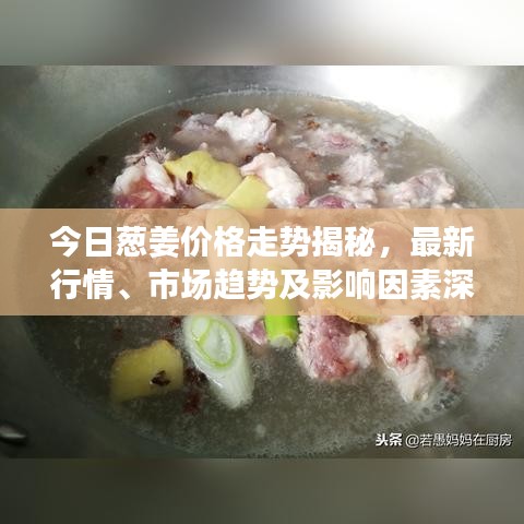 今日蔥姜價格走勢揭秘，最新行情、市場趨勢及影響因素深度解析