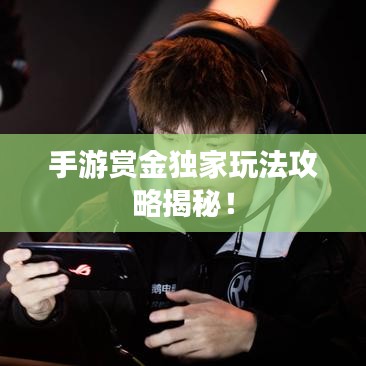 手游賞金獨(dú)家玩法攻略揭秘！