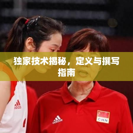獨(dú)家技術(shù)揭秘，定義與撰寫(xiě)指南