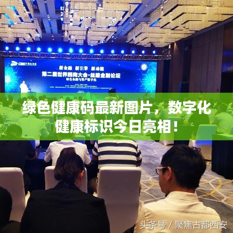 綠色健康碼最新圖片，數(shù)字化健康標(biāo)識(shí)今日亮相！
