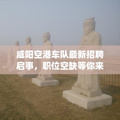 咸陽空港車隊最新招聘啟事，職位空缺等你來挑戰(zhàn)！
