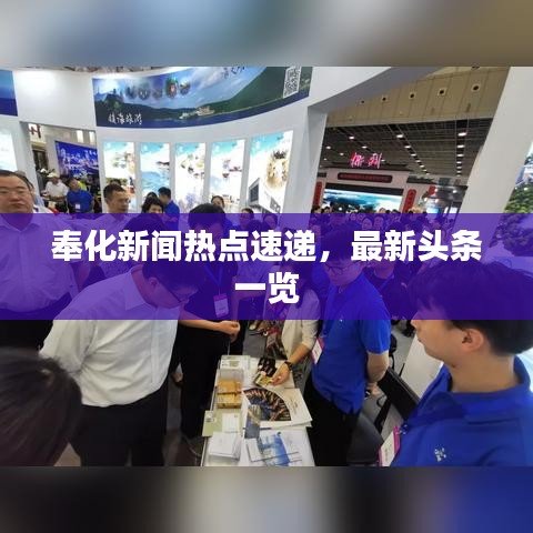 奉化新聞熱點(diǎn)速遞，最新頭條一覽