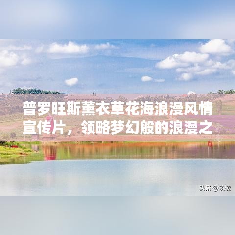 普羅旺斯薰衣草花海浪漫風(fēng)情宣傳片，領(lǐng)略夢幻般的浪漫之旅！
