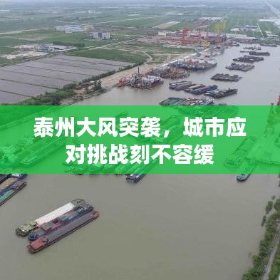 泰州大風突襲，城市應對挑戰(zhàn)刻不容緩