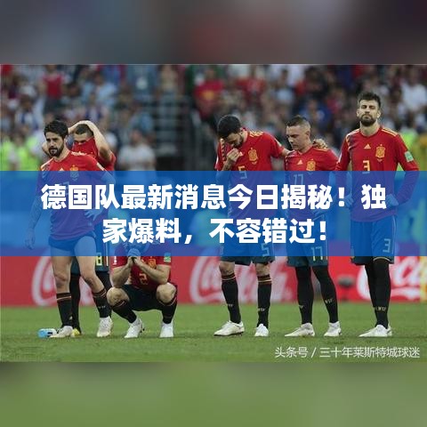 德國隊最新消息今日揭秘！獨家爆料，不容錯過！