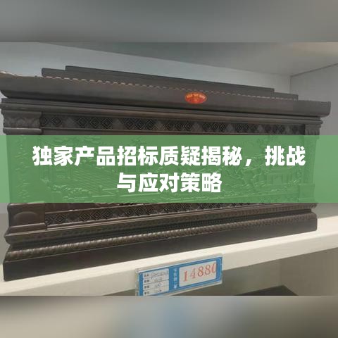 獨(dú)家產(chǎn)品招標(biāo)質(zhì)疑揭秘，挑戰(zhàn)與應(yīng)對(duì)策略