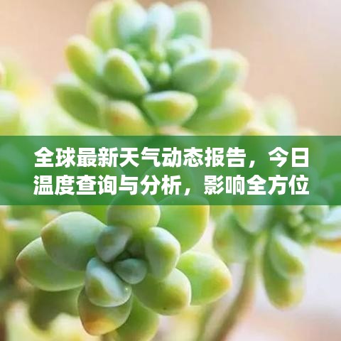 全球最新天氣動(dòng)態(tài)報(bào)告，今日溫度查詢與分析，影響全方位解讀