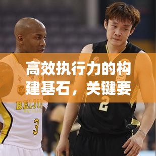 高效執(zhí)行力的構(gòu)建基石，關(guān)鍵要素與策略實施