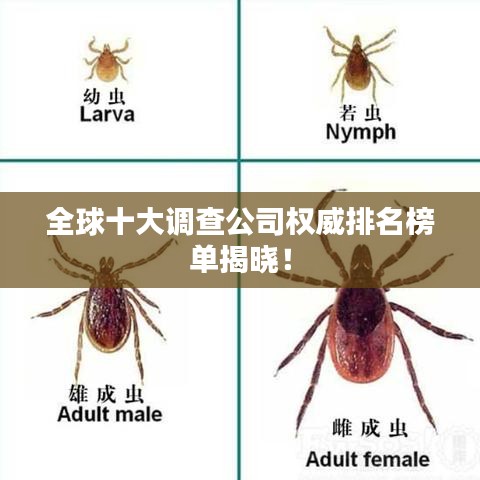 全球十大調查公司權威排名榜單揭曉！